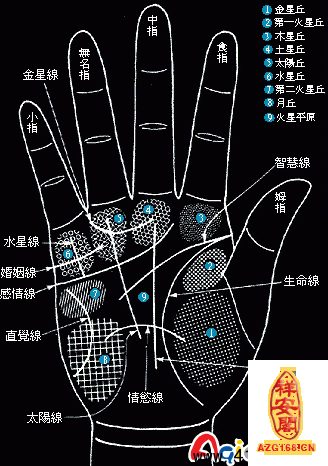 （李向东）男人九种手相看命运图解有福气的手