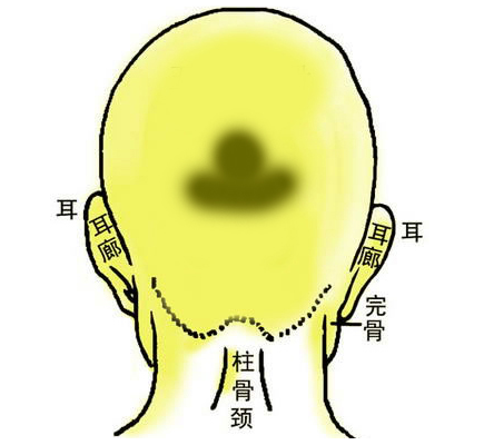 男生额头有日角骨、伏羲骨有什么预兆？