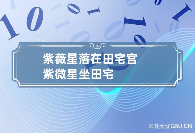 紫薇星落在田宅宫 紫微星坐田宅