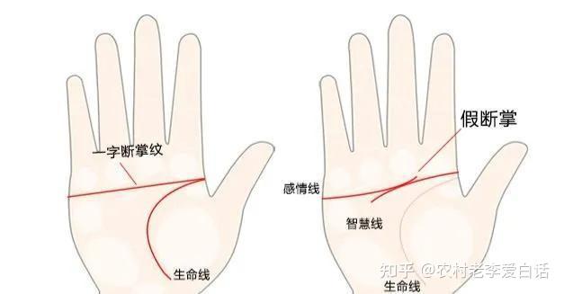 相术风水堂：手中有一线，财显富贵现