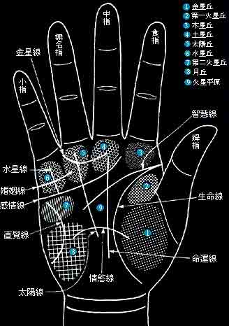 手相看自己的配偶信息如何，一起来涨知识!