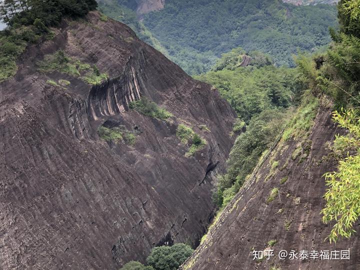 武夷山身为福建人都应该去看看