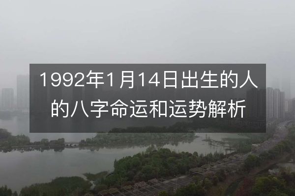 1992年1月14日出生的人的八字命运和运势解析