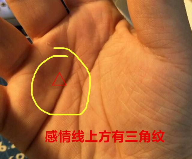 Q3：女性右手手相测命智慧线组成人的部分