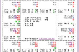 紫微斗数解读越详细越好